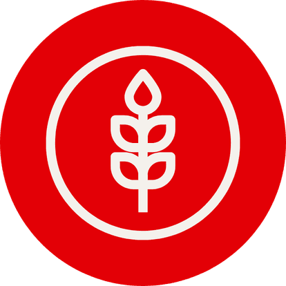 Highlights Icon 5.png