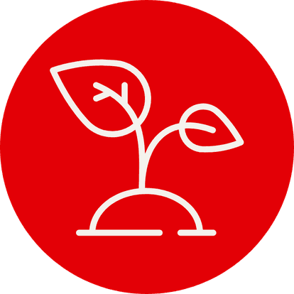Highlights Icon 6.png