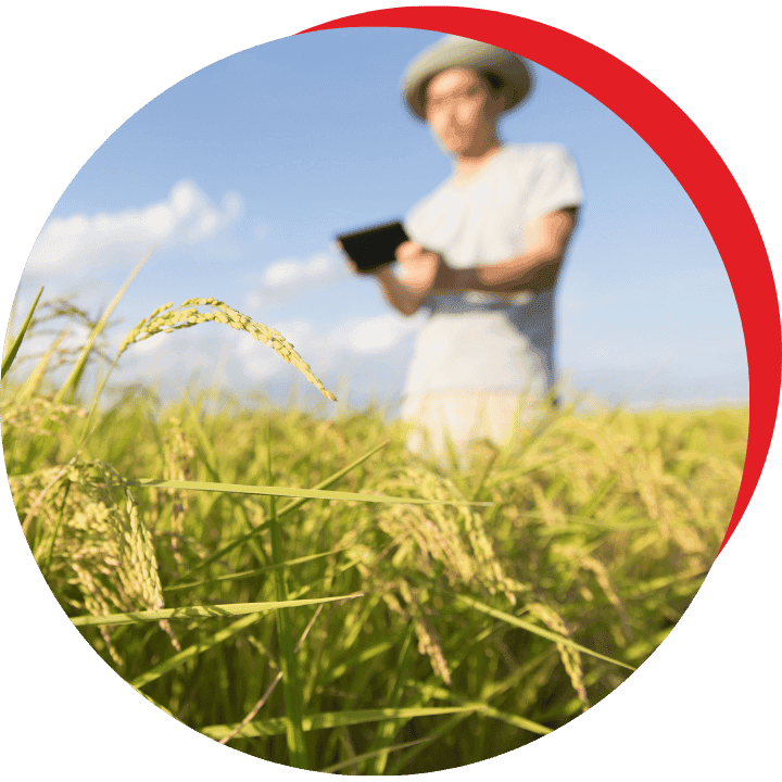 Post Graduate Program in Agribusiness Management 